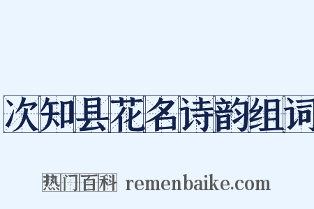 次知县花名诗韵组词是什么意思的图片